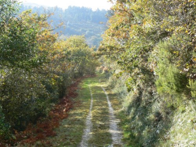 Fraga de Becerreira